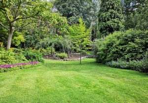 Optimiser l'expérience du jardin à La Neuville-sur-Oudeuil